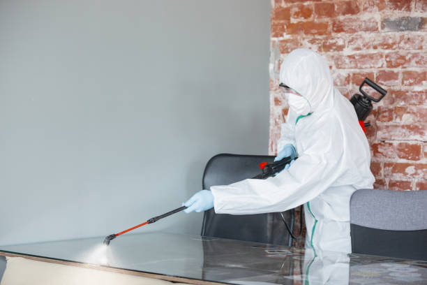 Why You Should Choose Our Mold Remediation Services in Sharon, TN