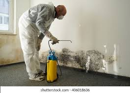 Mold Odor Removal Services in Sharon, TN